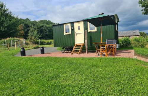 Shepherd's Hut in heart of the Brecon Beacons - Photo 13