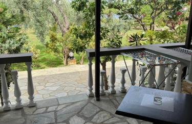 Pelagos Beachfront - Foto 27