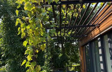 Tinyhaus Arendsee in Seenähe - Foto 5