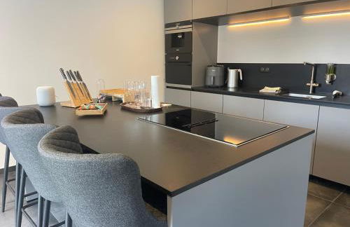 Full House, Jacuzzi, Netflix, 8 pers, free Parking 10' Colmar - Foto 7