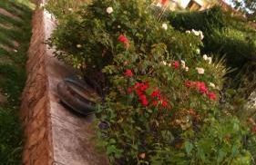 La Residence da Caterina - Photo 45