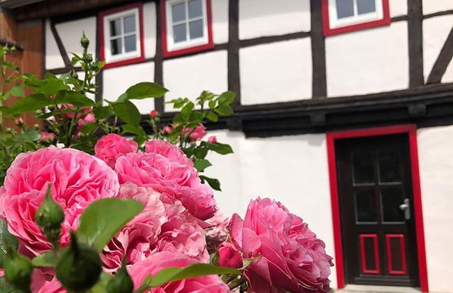 Gesindehaus Börnecke - Foto 24