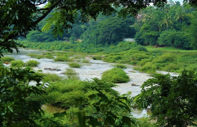 Riverine Cascade - Foto 24