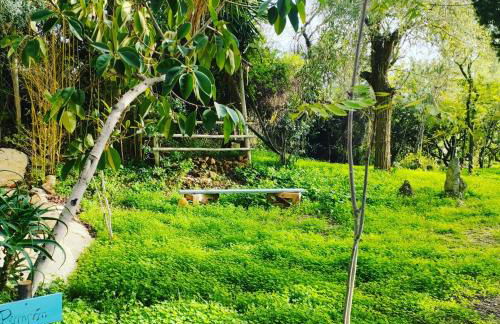 Las Brujas - Foto 17