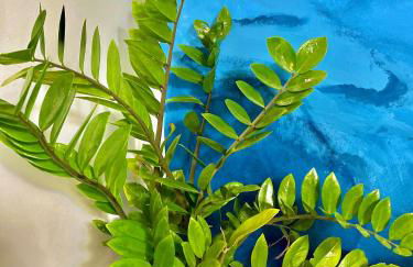 Casa por temporada Bhs - Photo 26