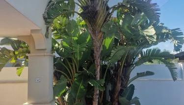 Luxury Villa - Pet Friendly & Free Parking - Foto 3