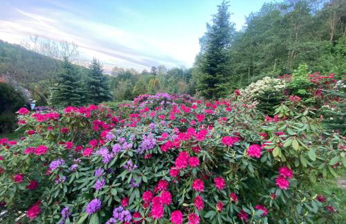 Domki PrzySowie - Góry Sowie - Foto 27