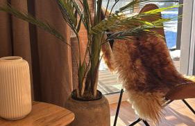 Vista Izera - Foto 1