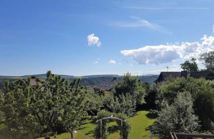 Rheintalblick St Goar Loreley - Foto 10