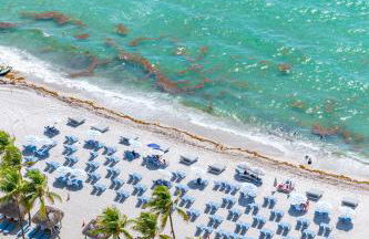 16699 Collins Ave Unit 2906 in La Perla - Foto 39