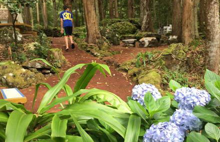 OceanFront Studio - Casa Santo Antonio - Photo 56