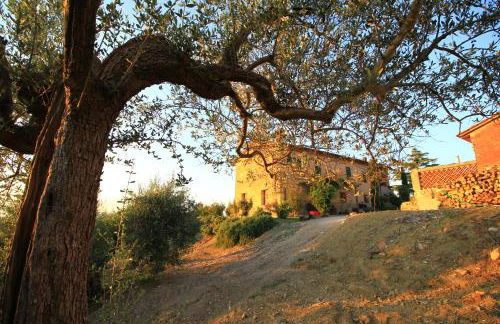 Casolare Marconi - Foto 38