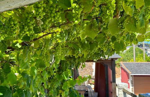 Casa do Lagar, Praia da Abrela - Foto 11