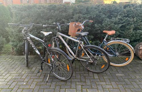 Ferien-Landleben - Photo 21