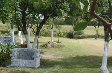 Pousada das Palmeiras - Foto 23