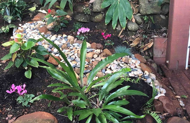 Cabane Tiny Tree House no4 - Foto 57