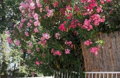 Studio Apartman Mija 2A **** - Foto 26