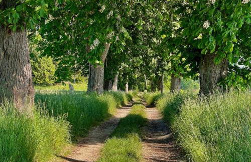 Ferienhaus "Am Flachsee" - Foto 7