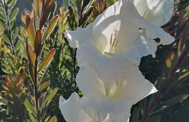 Férias felizes em família/com amigos - Foto 52