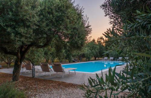 Armandiola - Foto 48