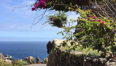 Finca La Punta - Foto 4, Garden, Other