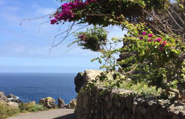 Finca La Punta - Foto 4