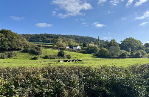 Charming Dog-Friendly Guesthouse - Foto 10