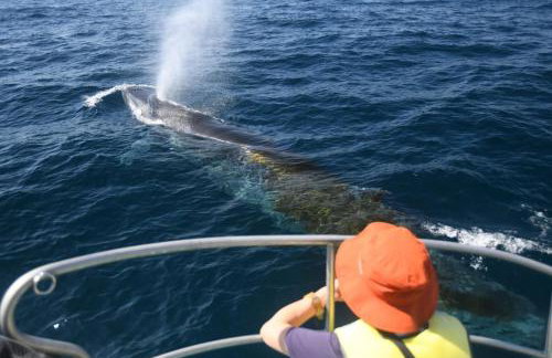 Roomy 2 bedroom 1 bath with private entrance, with fenced yard, and sports court - Foto 24