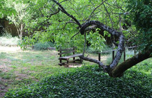 Molinos de Fuenteheridos - Foto 20
