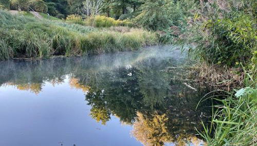 Bungalowdorf Lübben - Foto 2