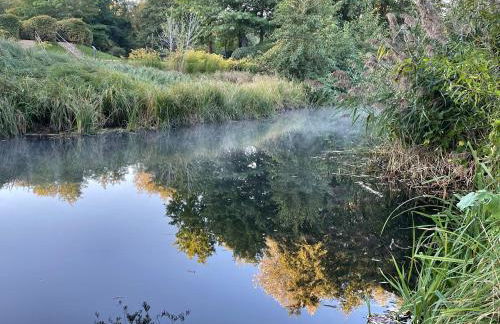 Bungalowdorf Lübben - Foto 2