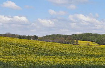 Ferienwohnung Wikingerland - Foto 51