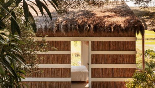 Flor de Arroz - Foto 4