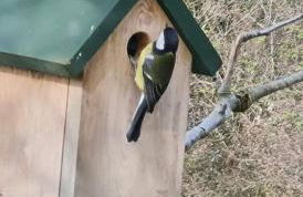 Nicks and Carmels by the Lake - Foto 32