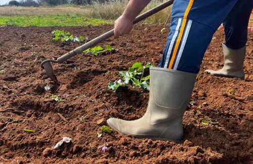 Agriturismo Molle - Foto 10