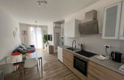 Il PolpoLeo in Porto Azzurro Isola d'Elba - Foto 6