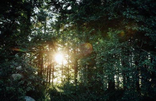 The Little Retreat, Pembrokeshire - Photo 10