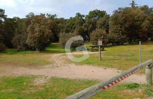 Maison 6 pers à 900m de la plage avec terrasses et parking, animaux acceptés - FR-1-194-414 - Foto 16