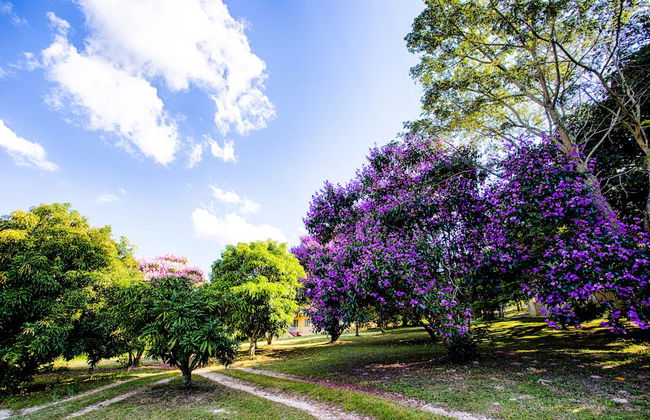 Near2Numbi - Foto 79