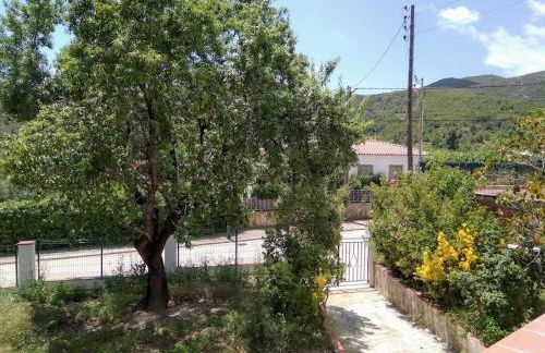 Alt Penedes, terra de vinya, sol, aigua i muntanya - Foto 25