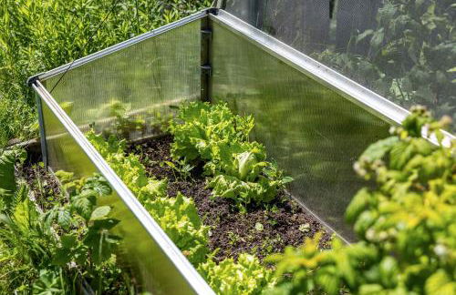 Unterlacherhof Ahrntal - Foto 11