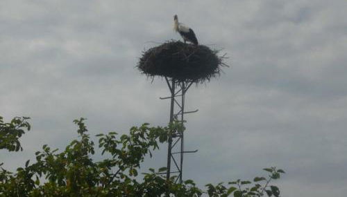 NEU Ferienwohnung Storchennest OG - Foto 4