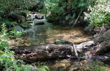 Dom Jesionów - Foto 53