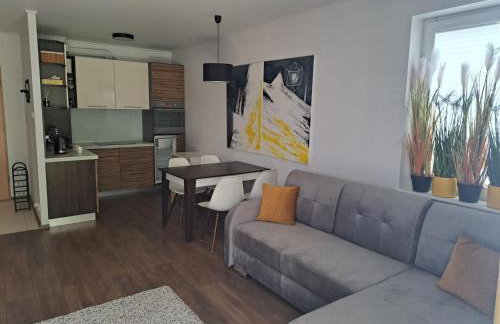 Apartament w Bursztynowych Komnatach - Foto 7
