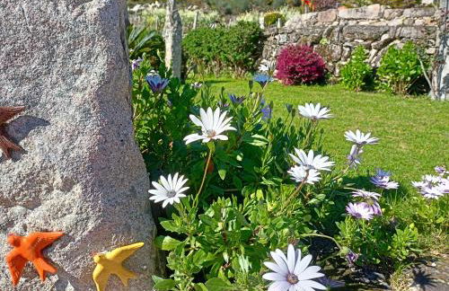 Jardim da Rosa - Foto 39