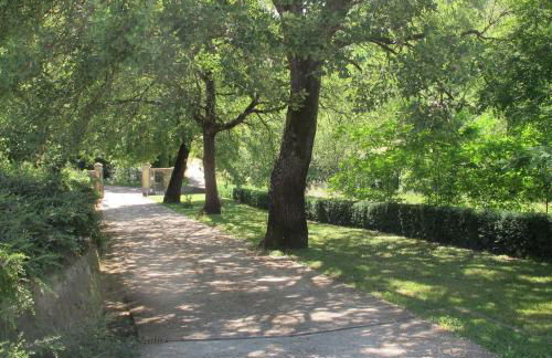 Agriturismo Podere Filicaia - Foto 46