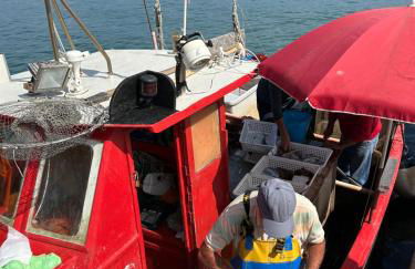 Agave Marina - Foto 60