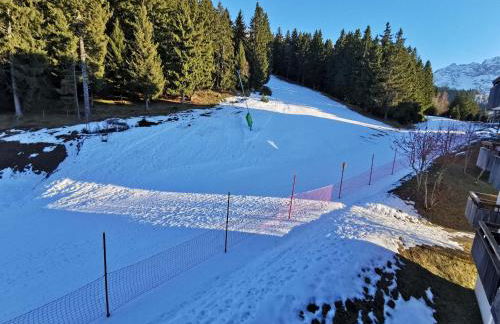 Appartement 2 pièces aux Adrets-Prapoutel, pied des pistes, balcon, animaux interdits - FR-1-771-50 - Foto 13