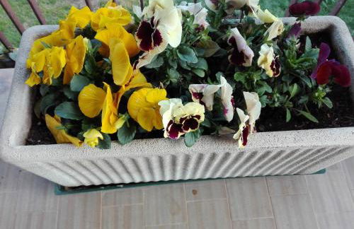 Agriturismo Le Rose - Foto 139