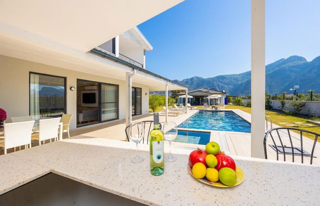 Villa Funda in Dalyan - Photo 9